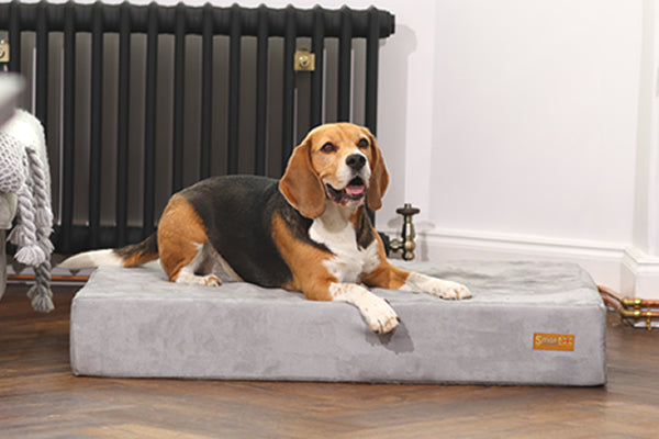 X large memory hot sale foam dog bed