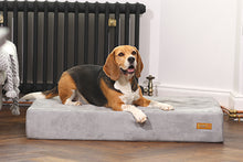Load image into Gallery viewer, Smart Beds - Smart pet beds