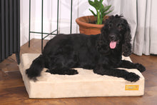Load image into Gallery viewer, Smart Beds - Smart pet beds
