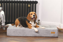 Load image into Gallery viewer, Smart Beds - Smart pet beds

