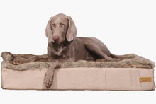 Load image into Gallery viewer, Fur Covers - Smart pet beds
